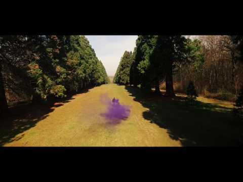 Stwizybinks - Purple Way