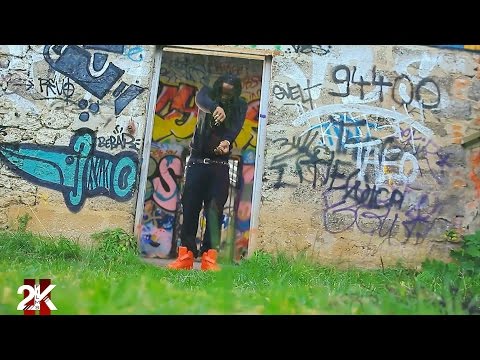 Téky - Zannimo