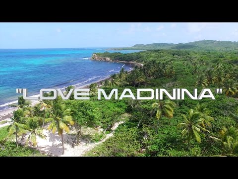 Various Artists - Love Madinina