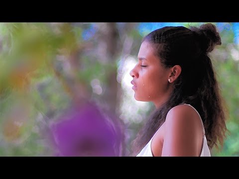Meryl - An chanjé