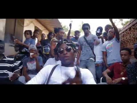 Lion p - pa vini