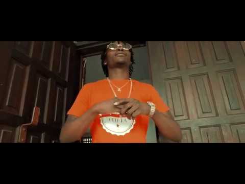 Lion P - Twap