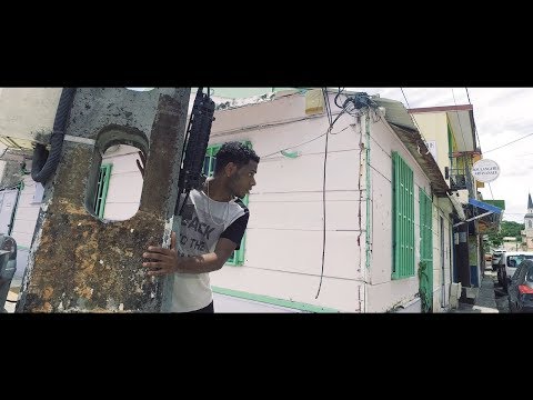 Def j - pélican