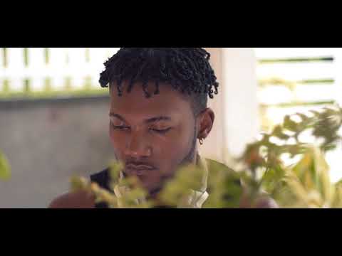 Tiimo - mizik