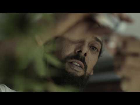 Gifta -free di herbs