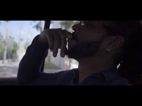Oblik - black horse