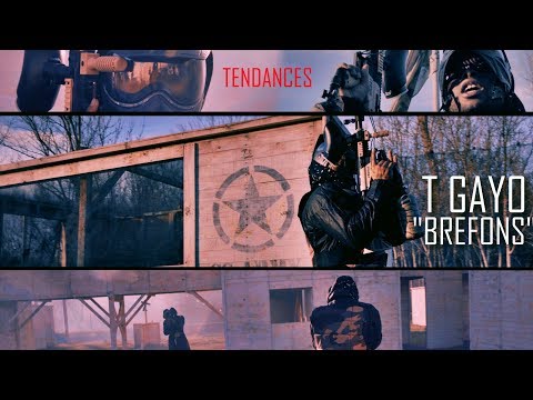 T Gayo - Brefons