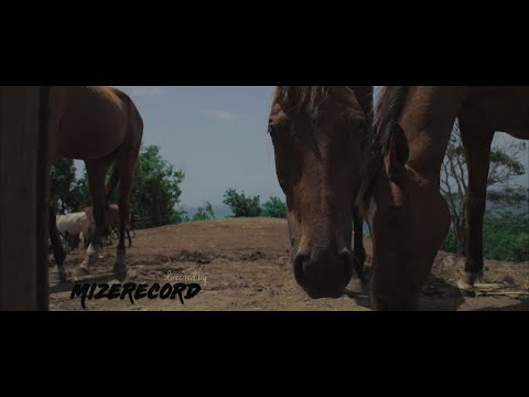 Nicy - Toufé