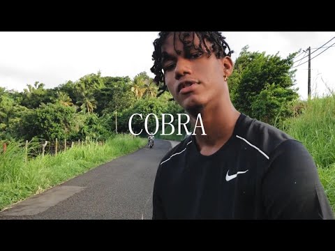 Sn - cobra