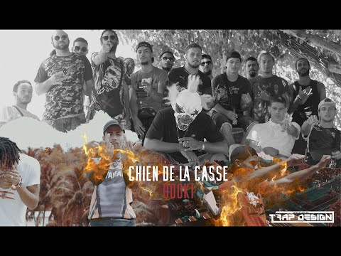 Dooki - chien de la casse