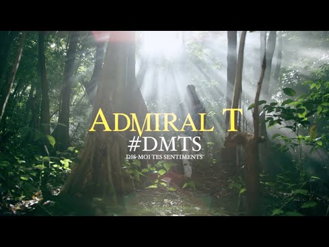 Admiral t - #dmts (dis-moi tes sentiments)