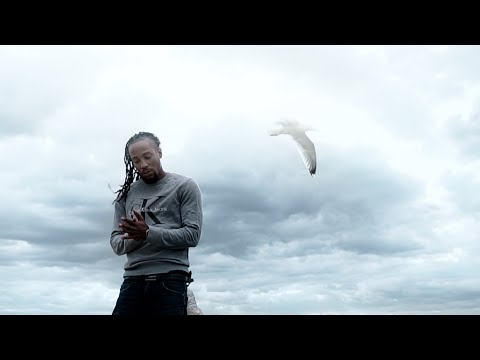 Kasy - a qui la faute