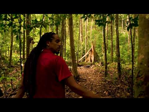 Jahnyk : Vayan