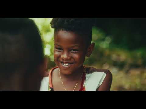 Bled Miki - Plante Kako