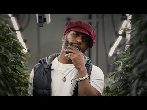 Tiwony & Bobby Hustle & Yungg Trip - The Plug