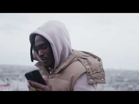 Lion P - Working