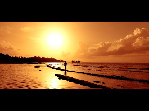 Krys - Oasis