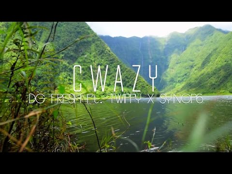 Dg Fresh Ft. Twippy  & Synop6 - Cwazy
