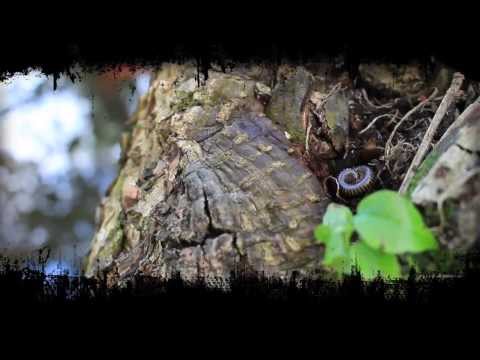 Snypeur One - Exorcisme